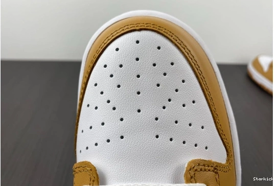 Moon Nike (W) Harvest Dunk Low DD1503-114 0730